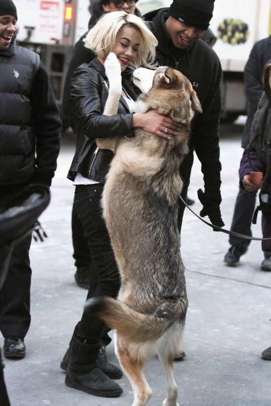 Rita Ora na sesji dla DKNY (FOTO) Rita Ora na sesji dla DKNY (FOTO)