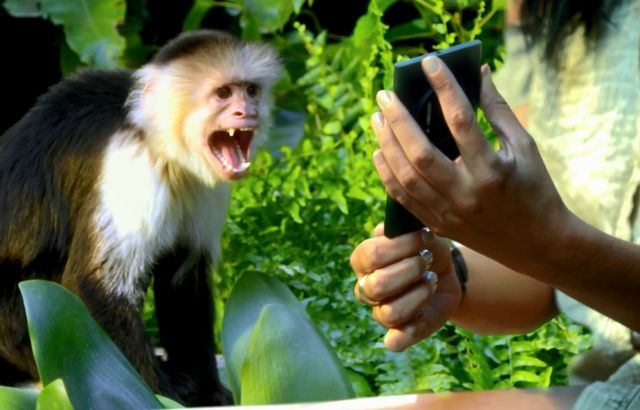 Już jest teledysk do Roar Katy Perry (VIDEO)  
