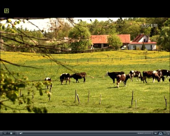 1000 kandydatek do show Rolnik szuka żony