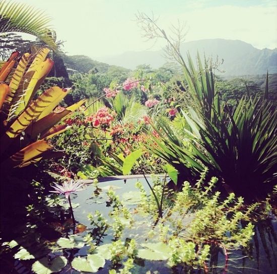 Rosie Huntington-Whiteley w raju (FOTO) Rosie Huntington-Whiteley w raju (FOTO)