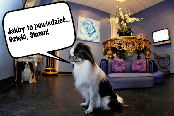 Simon Cowell nie zostawi fortuny dziecku Simon Cowell nie zostawi fortuny dziecku