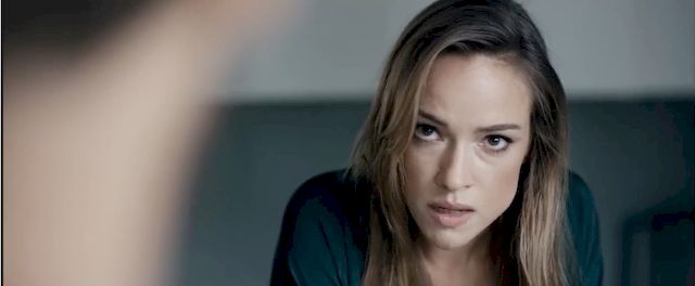 Już jest! Nowy zwiastun kinowy Pitbull. Niebezpieczne kobiety! (VIDEO) Już jest! Nowy zwiastun kinowy Pitbull. Niebezpieczne kobiety! (VIDEO)