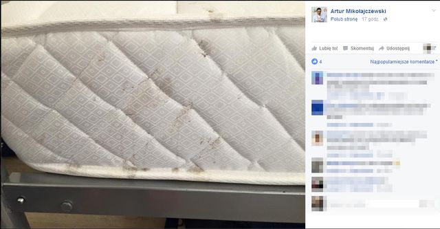 Szok! Polscy olimpijczycy narzekają na fatalne warunki w Rio: Brud, syf i robaki