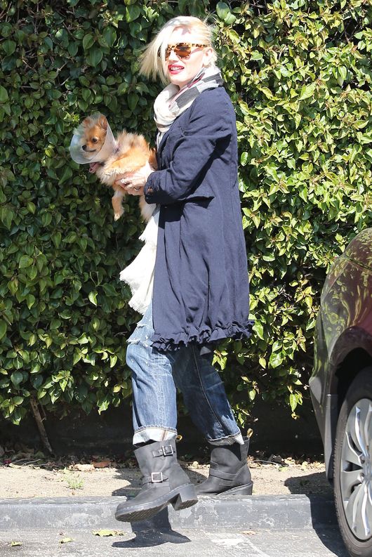 Gwen, Gavin, Zuma, Kingston i paparazzi... (FOTO)