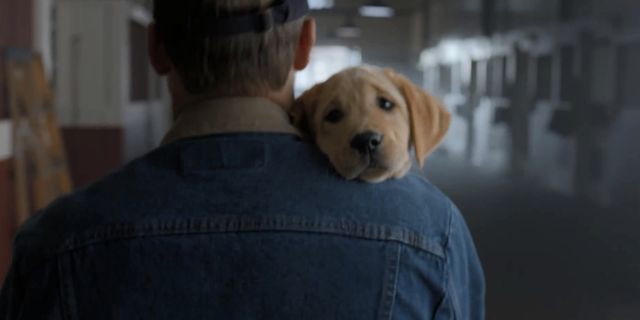 Te reklamy zobaczymy na Super Bowl (VIDEO)