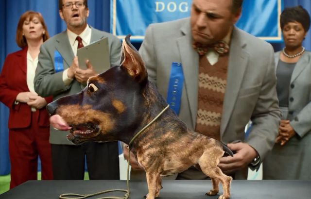 Te reklamy zobaczymy na Super Bowl (VIDEO)