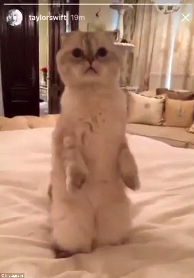 Taylor Swift przerywa milczenie na Snapchacie (FOTO)