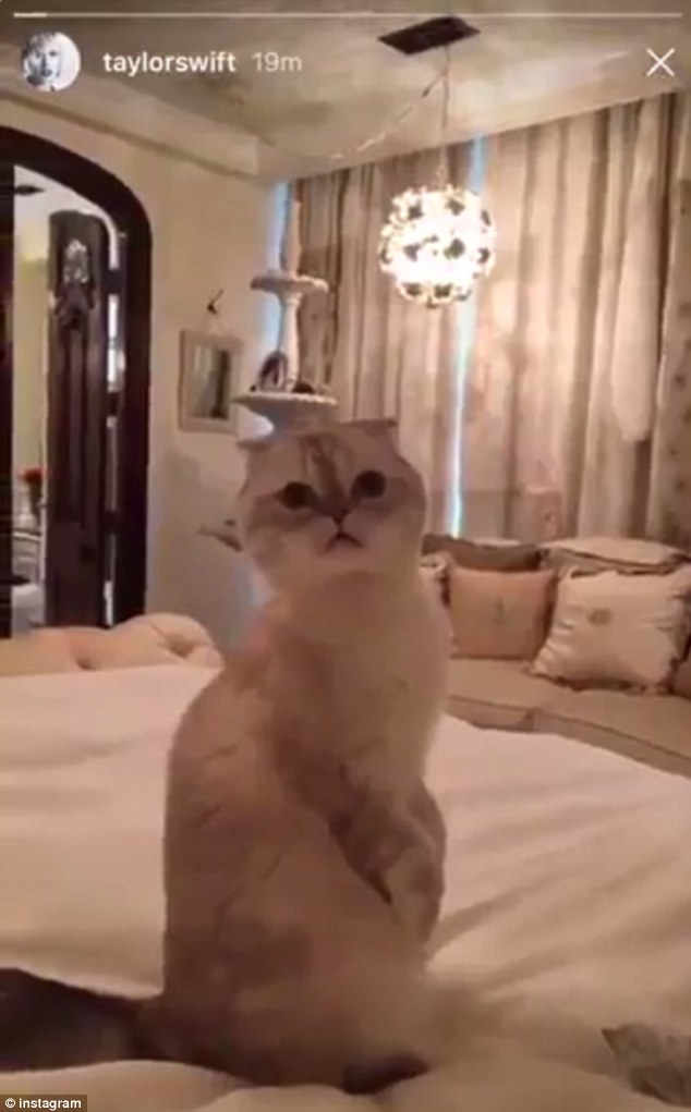 Taylor Swift przerywa milczenie na Snapchacie (FOTO) Taylor Swift przerywa milczenie na Snapchacie (FOTO)