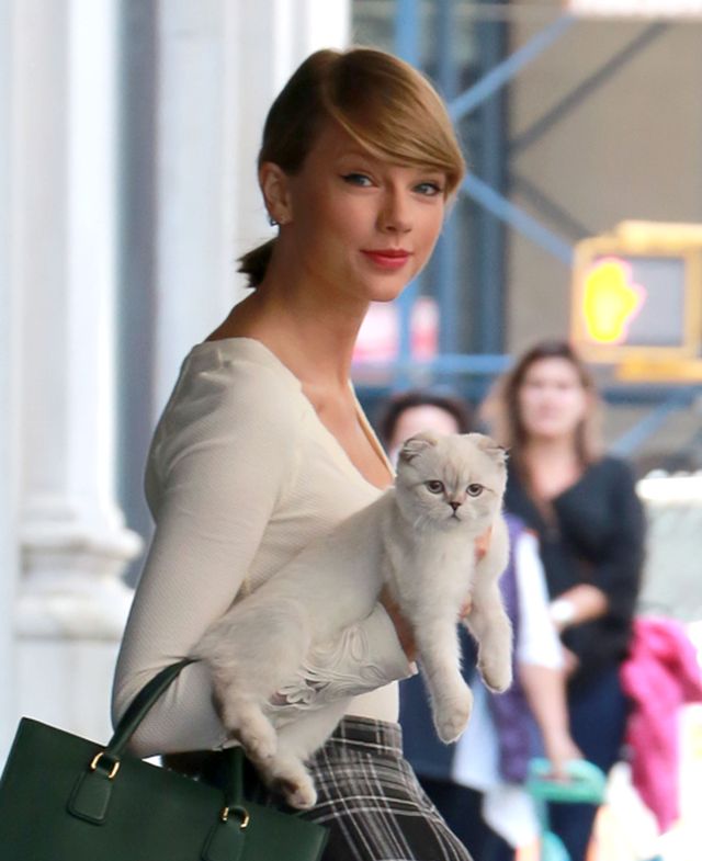 Seksowna kocia mama (FOTO) Seksowna kocia mama (FOTO)