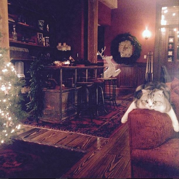 Dziś ma fortunę na koncie i wypasioną willę (FOTO) Dziś ma fortunę na koncie i wypasioną willę (FOTO)