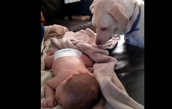 Ten filmik ma już blisko 4 miliony wyświtleń na YT. Dlaczego