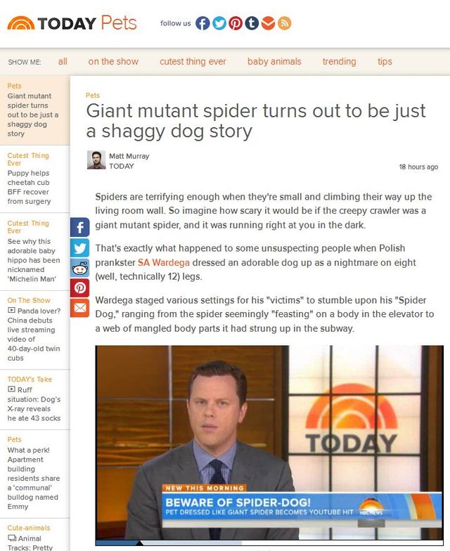 SA Wardęga może być już nawet milionerem? 