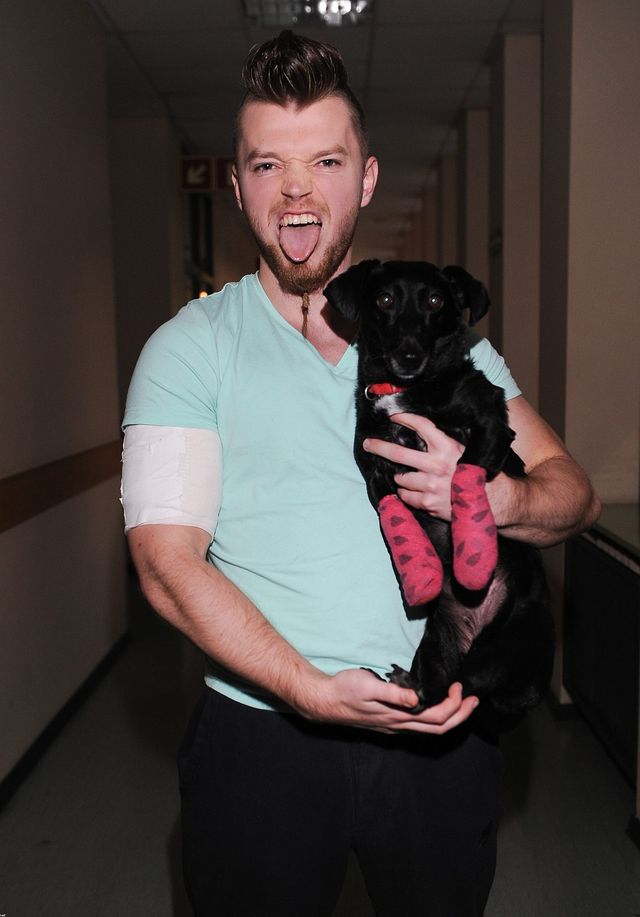 Chica, suczka Sylwestra Wardęgi, miała wypadek (FOTO)