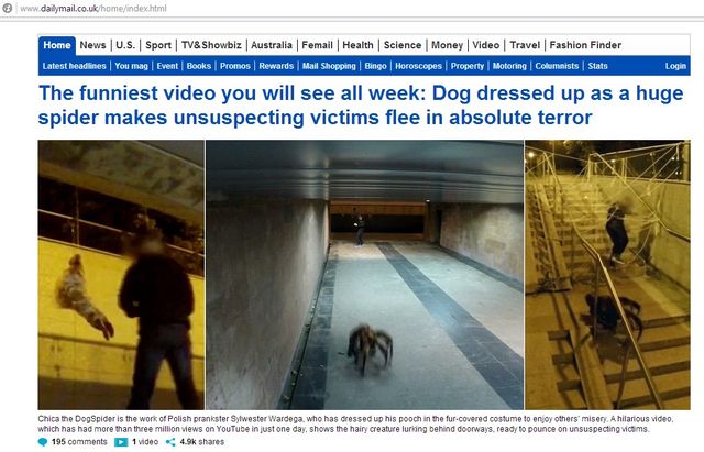 Film Wardęgi robi furorę w sieci!