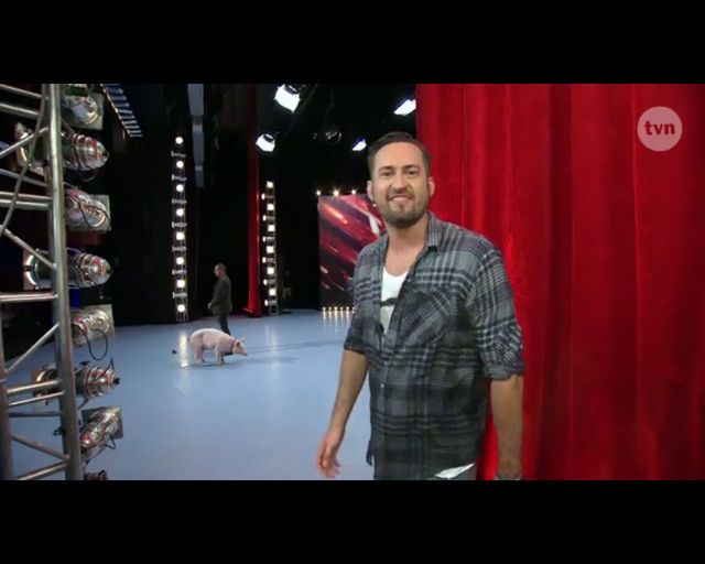 Kupa świnki gwoździem (do trumny?) Mam Talent!? (FOTO)