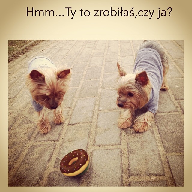 Tłusty czwartek u celebrytów (FOTO)