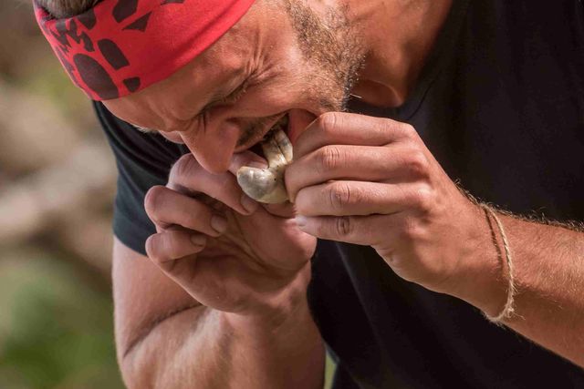 Wygląda smacznie? Zobacz, jak uczestnicy Wyspy Przetrwania jedzą robaki