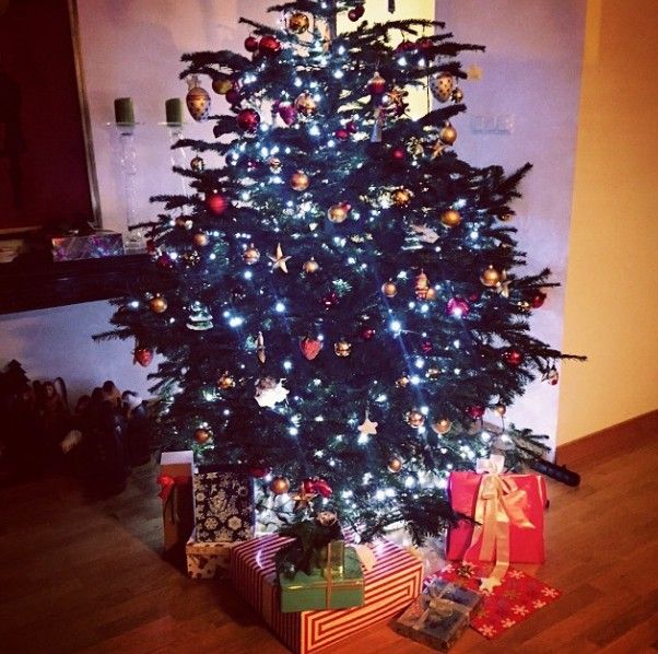 Gwiazdy chwalą się choinkami (FOTO)