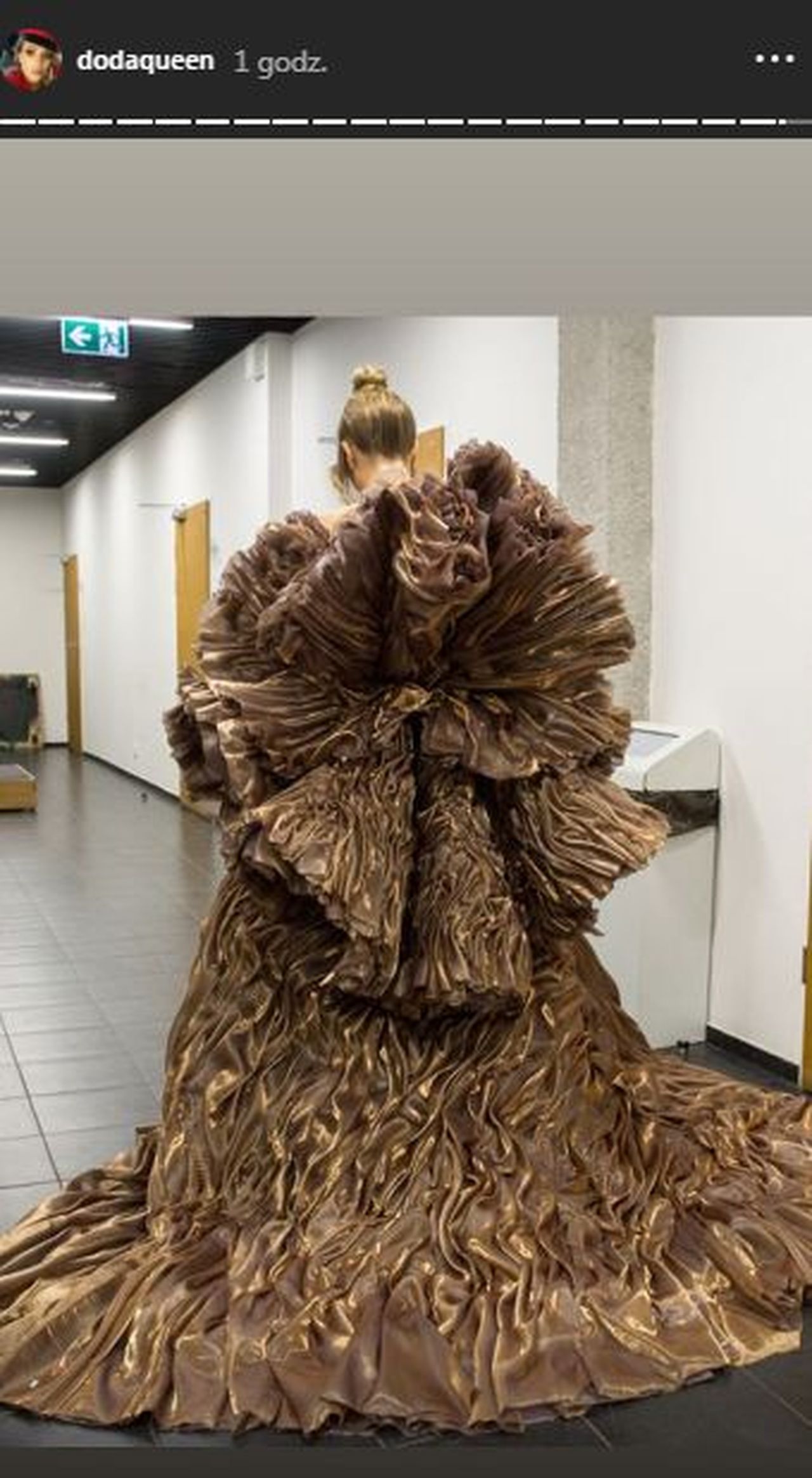 doda suknia patrycja kujawa występ filharmonia Instagram