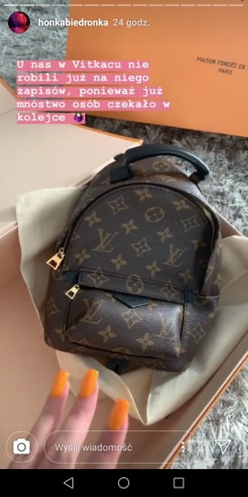 PALM SPRINGS BACKPACK MINI InstaStory