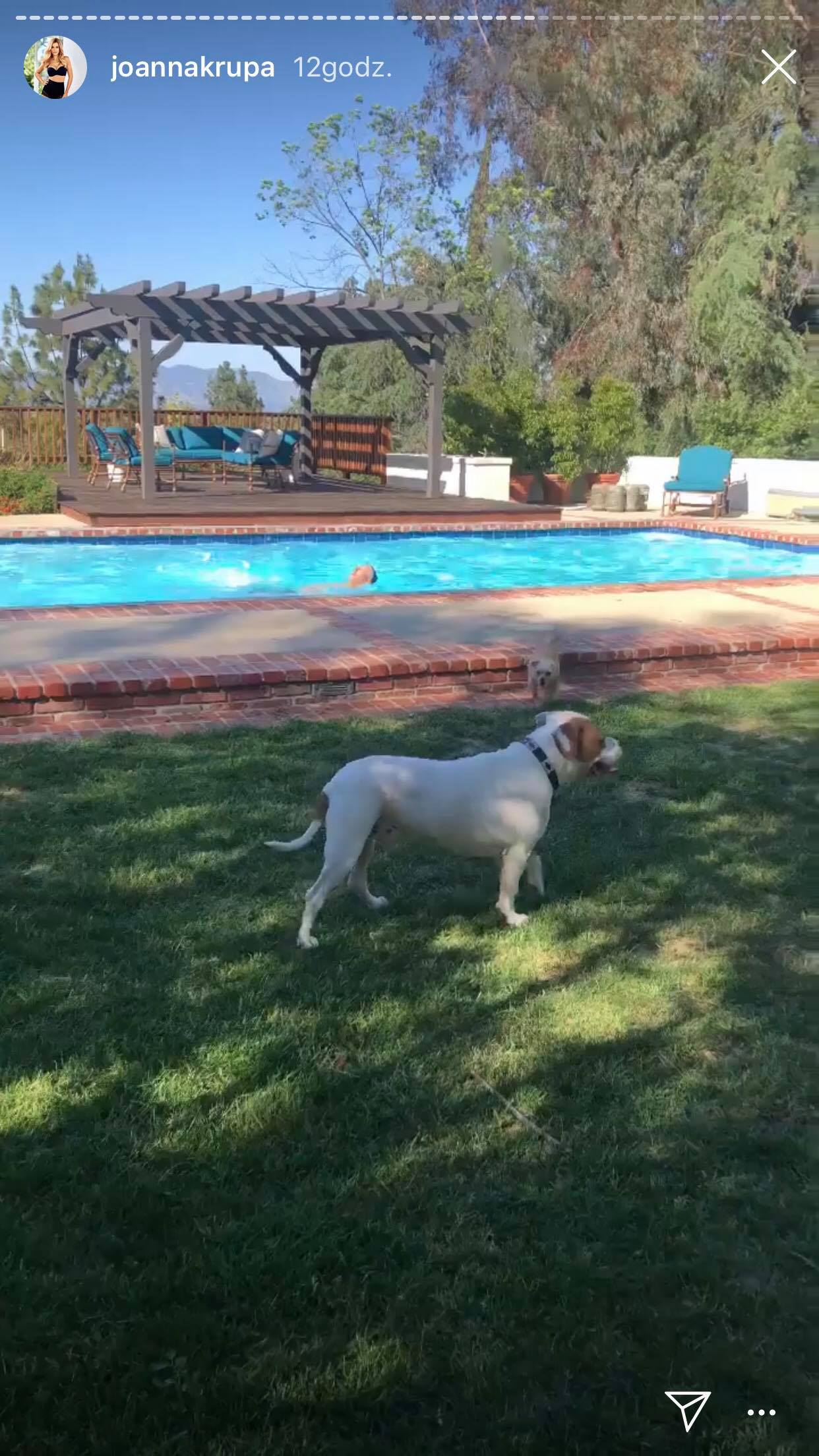 57936085_2124872557804460_8652348730327957504_n