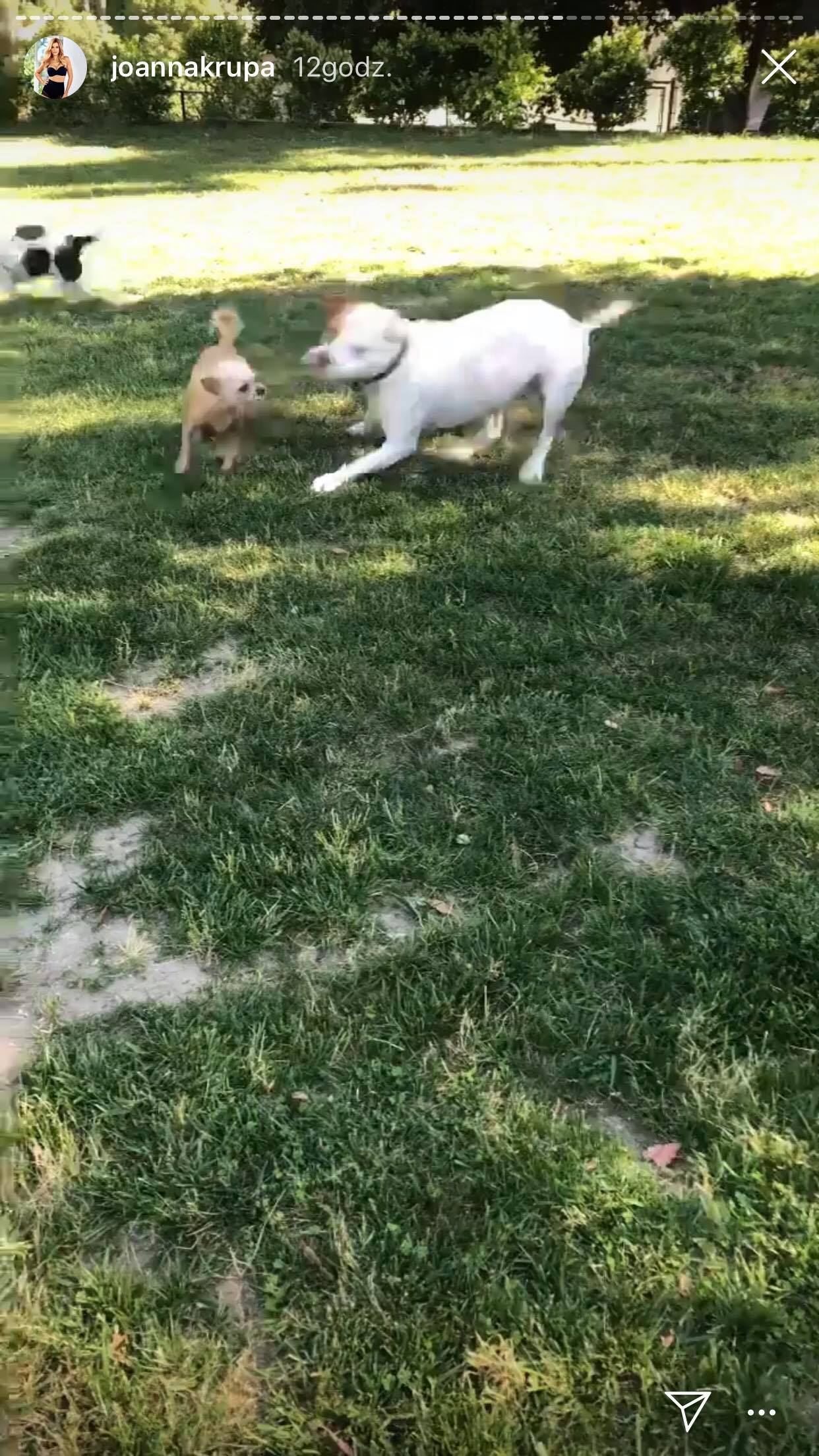 58766089_297734737805901_4744676343558438912_n