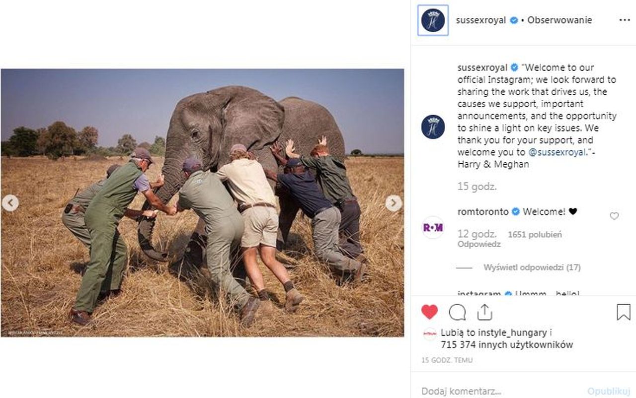 Instagram księcia Harry;ego