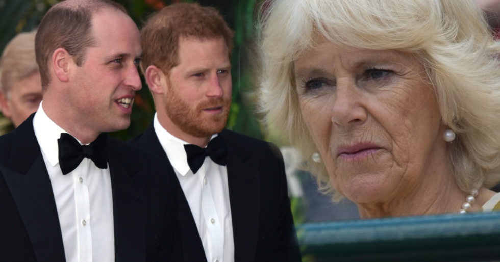 Co tak naprawdę książę William i książę Harry myślą na temat Camilli Parker-Bowles? Co tak naprawdę książę William i książę Harry myślą na temat Camilli Parker-Bowles?