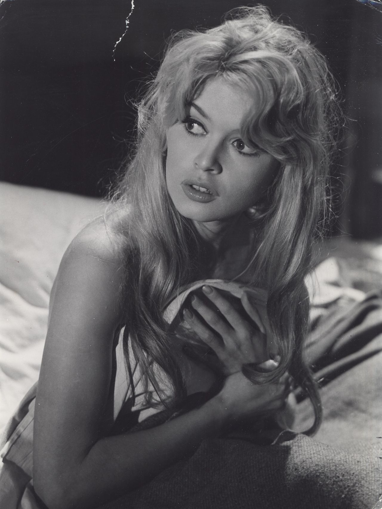 Brigitte Bardot