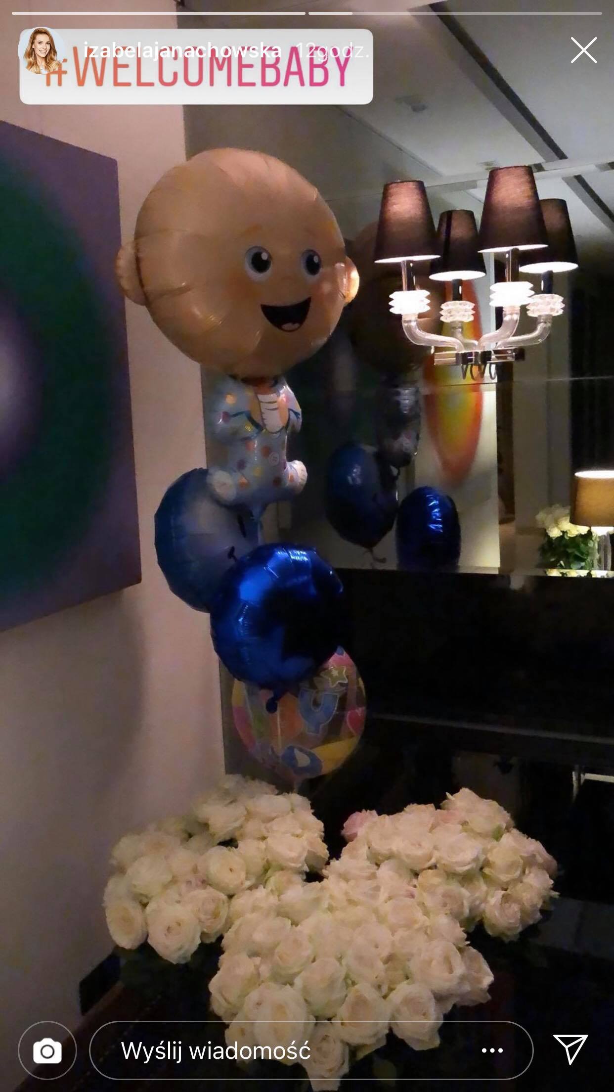 60253230_2332373030383772_6448401750037626880_n