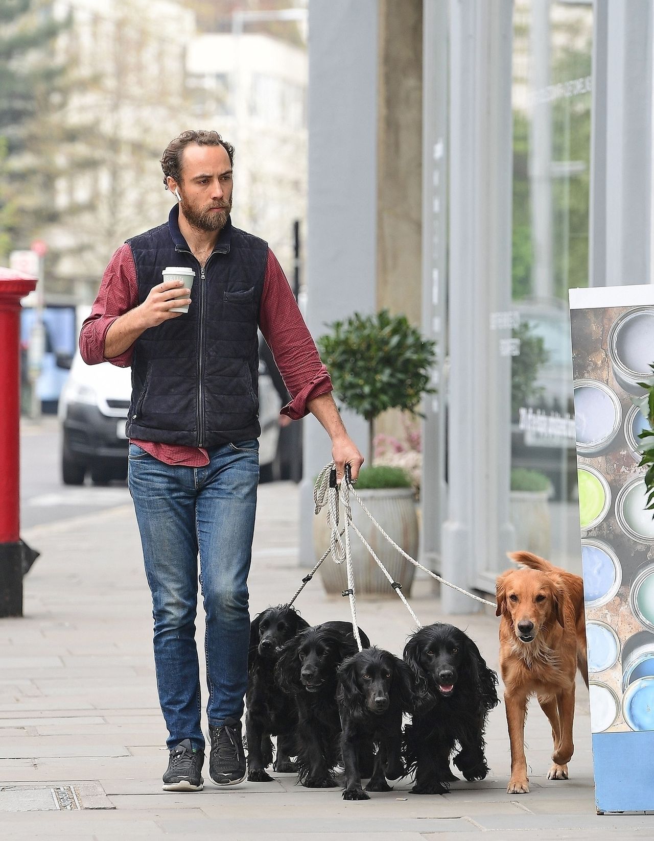 *EXCLUSIVE* Who let the Dogs Out - who, Who, Who - lol - Kate Middleton's Brother James Middleton Keeps busy as he's pictured walking along the Kings Road in Chelsea walking 5 dogs! / BACKGRID , kod: James Middleton