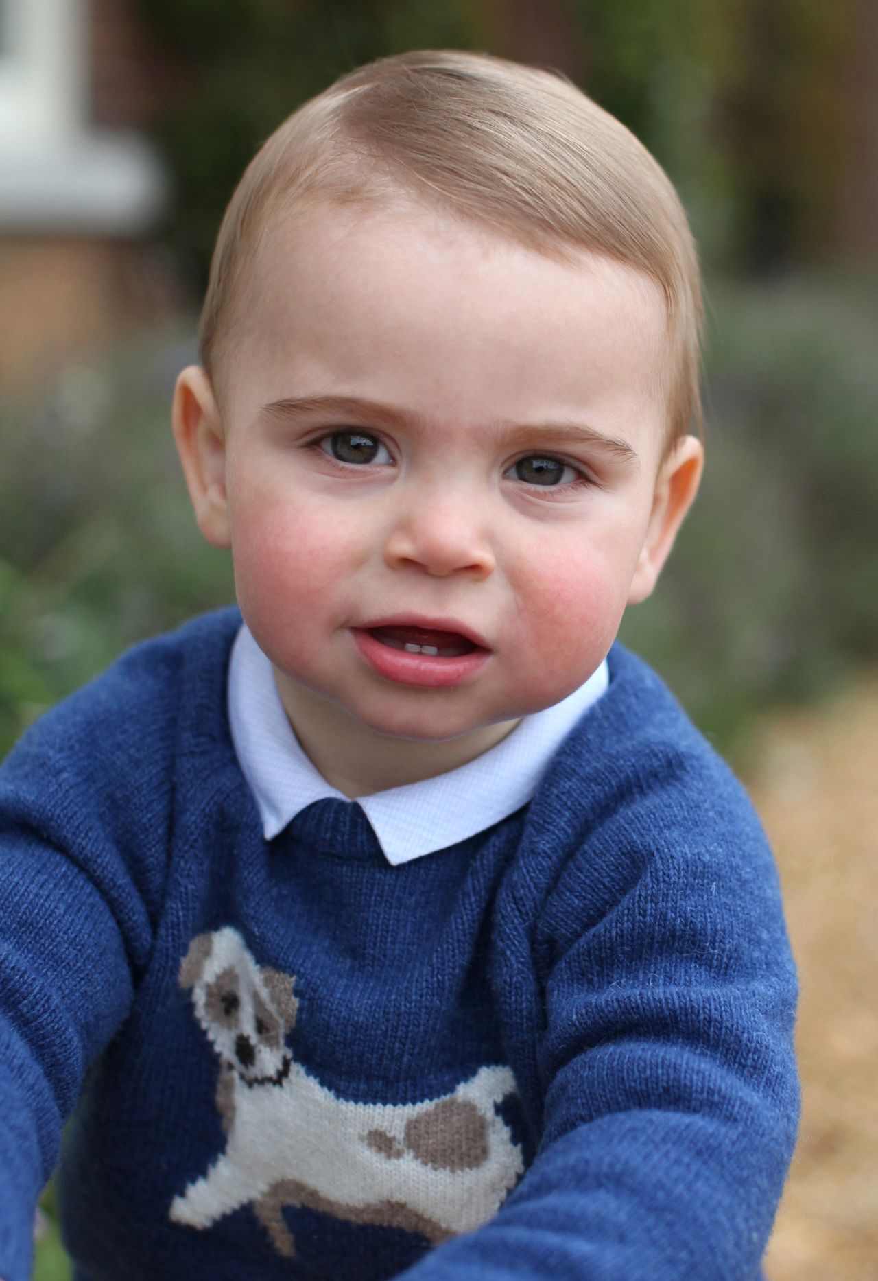 Prince Louis 1st Birthday