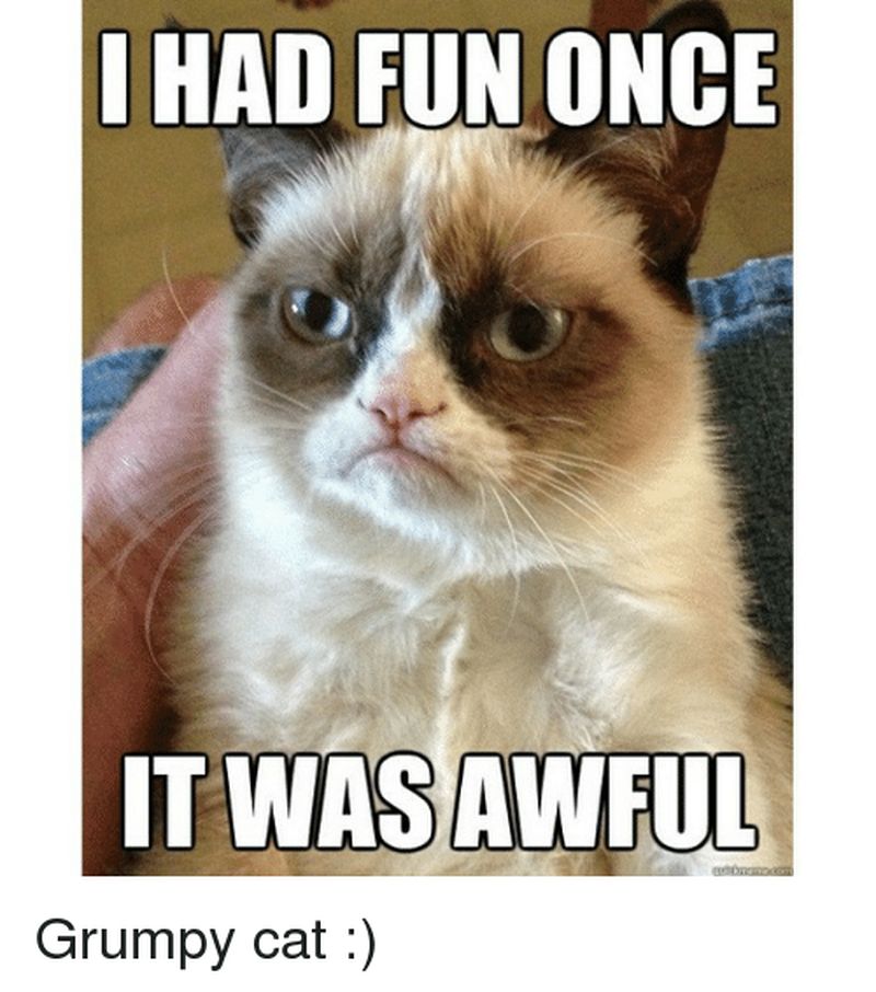grumpy cat mem1