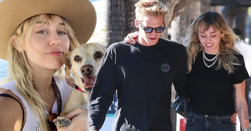 Miley Cyrus zabrała Simspona na wesele brata. Ubrali się nieodpowiednio do okazji (ZDJĘCIA) Miley Cyrus zabrała Simspona na wesele brata. Ubrali się nieodpowiednio do okazji (ZDJĘCIA)