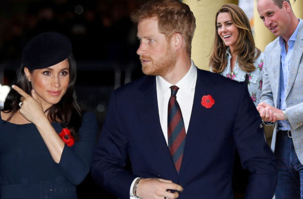 Meghan i Harry ZADZWONILI do fanki, która obrażała rodzinę królewską. PODZIĘKOWALI jej za wsparcie
