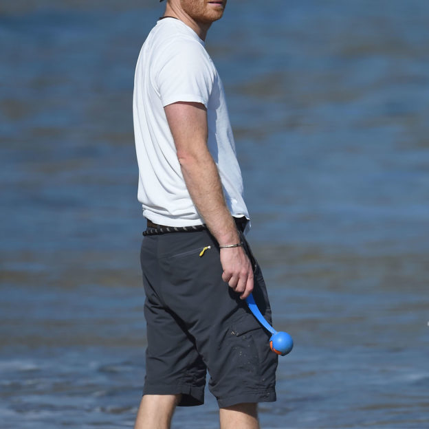 PREMIUM EXCLUSIVE:  Prince Harry goes barefoot on the beach while playing fetch with his black lab in the Pacific Ocean