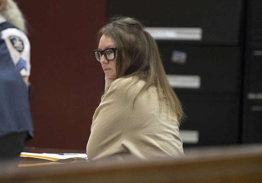Anna Sorokin sits in front of the judge for a hearing in her case