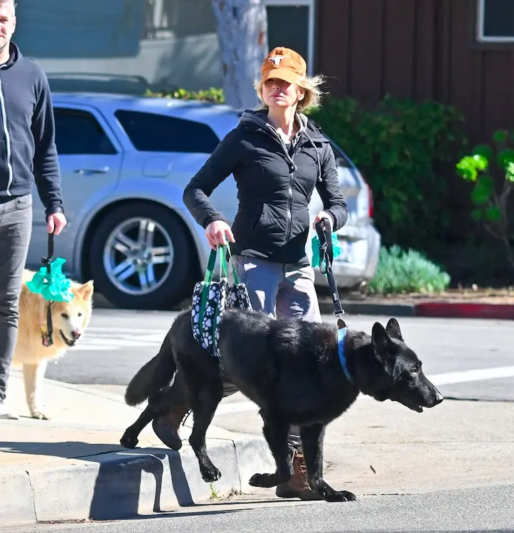 Renee Zellweger z psem Renee Zellweger z psem