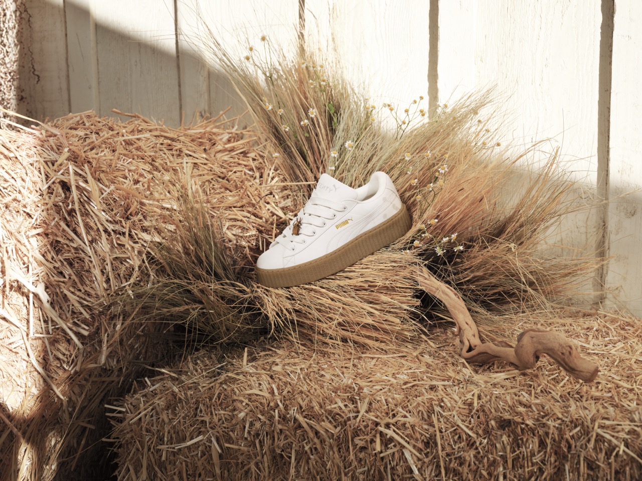 Rihanna i puma schodzą na ziemię. Najnowszy creeper powstaje w harmonii z naturą.