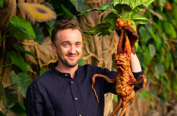 Tom Felton ośmieszony. Fani gwiazdora Harry’ego Pottera zachęcają, by znalazł „prawdziwą pracę”