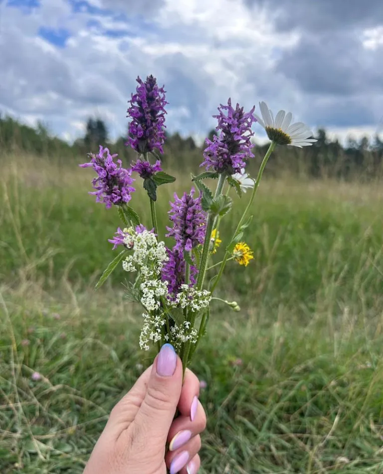 Marta Nawrocka, fot. Instagram Marta Nawrocka, fot. Instagram
