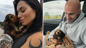Sylwia i Akop Szostak wciąż mają kontakt! Ex małżonkowie zaadoptowali rodzeństwo piesków (FOTO) Sylwia i Akop Szostak wciąż mają kontakt! Ex małżonkowie zaadoptowali rodzeństwo piesków (FOTO)