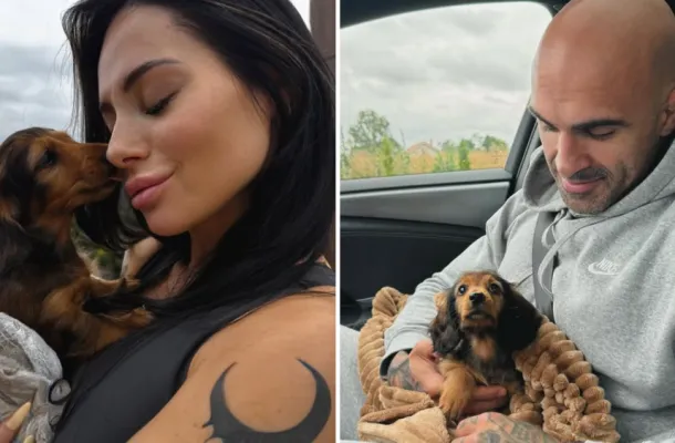 Sylwia i Akop Szostak wciąż mają kontakt! Ex małżonkowie zaadoptowali rodzeństwo piesków (FOTO)