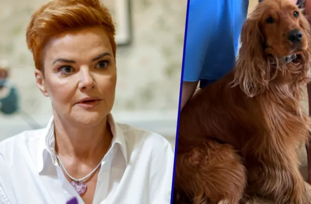 AFERA Richardson z kliniką weterynaryjną trwa! „Sugerowanie, że jesteśmy „mafią, lobby”(…), to język nienawiści”