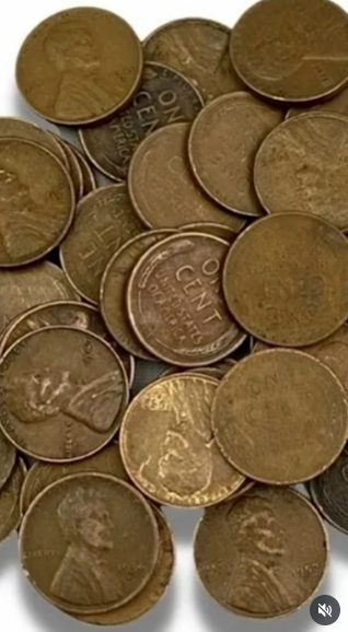 „Elitarny Łobuz” pod lupą.