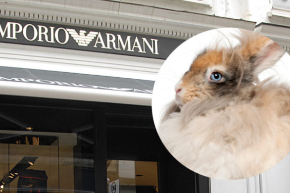 Armani rezygnuje z naturalnych futer