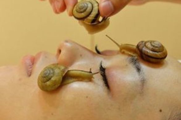 Terapia ślimakami (FOTO+VIDEO)