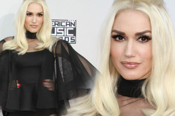 Gwen Stefani na gali AMA 2015 postawiła na odważne prześwity