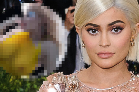 WOW! To najodważniejsza sesja Kylie Jenner! Siostra Kim chwali się nowymi…