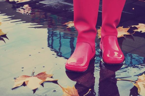 Hit na jesień! Kalosze damskie krótkie w kilku różnych wydaniach